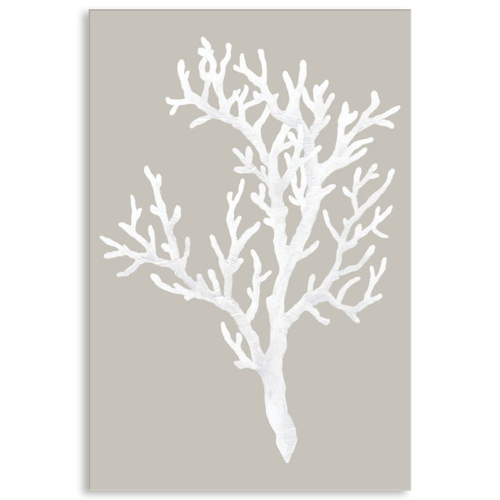 CORAL FOCUS I - Canvas Print