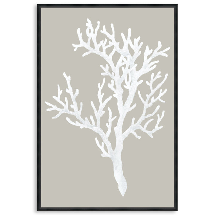 CORAL FOCUS I - Framed Canvas