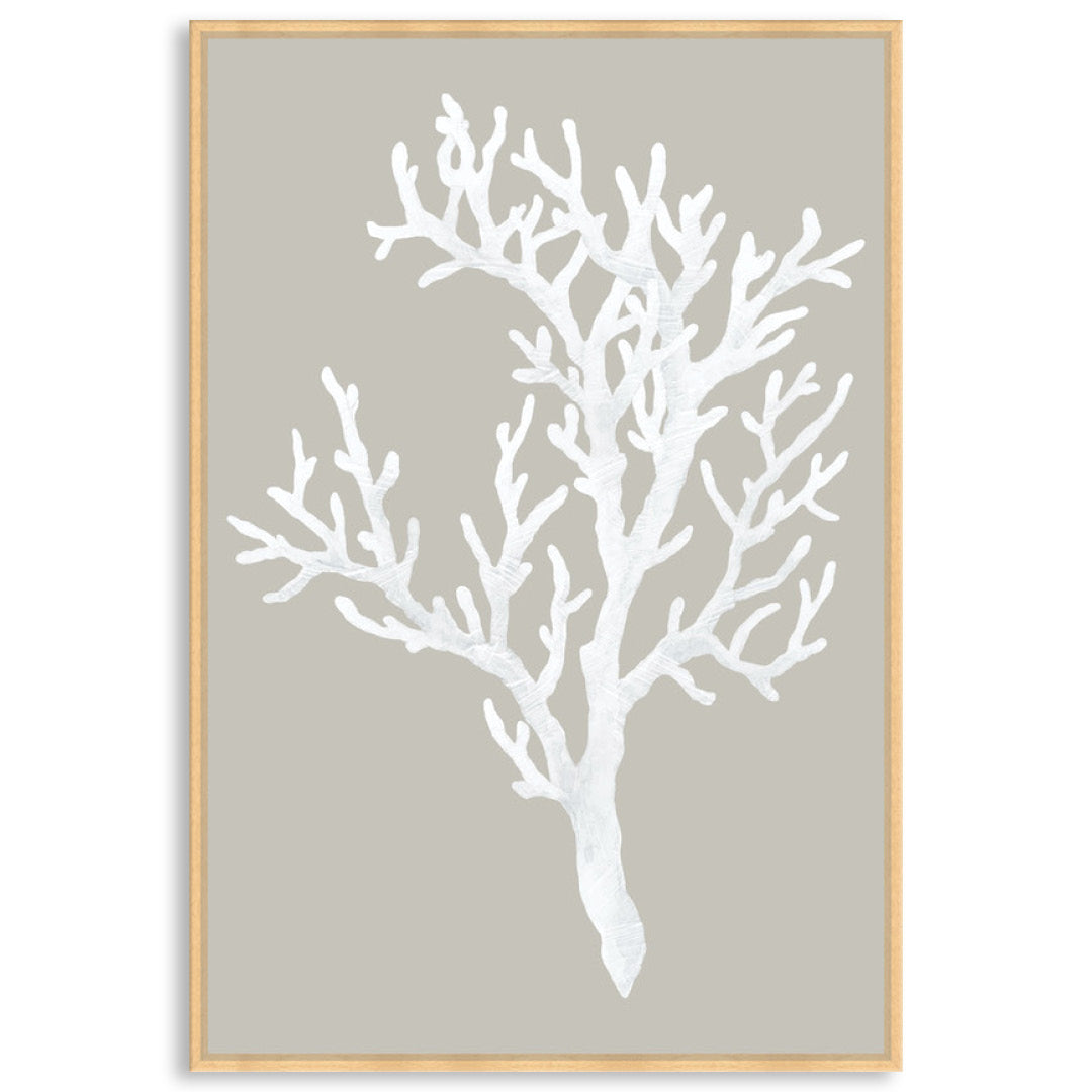 CORAL FOCUS I - Framed Canvas