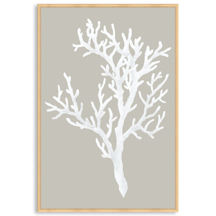 CORAL FOCUS I - Framed Canvas