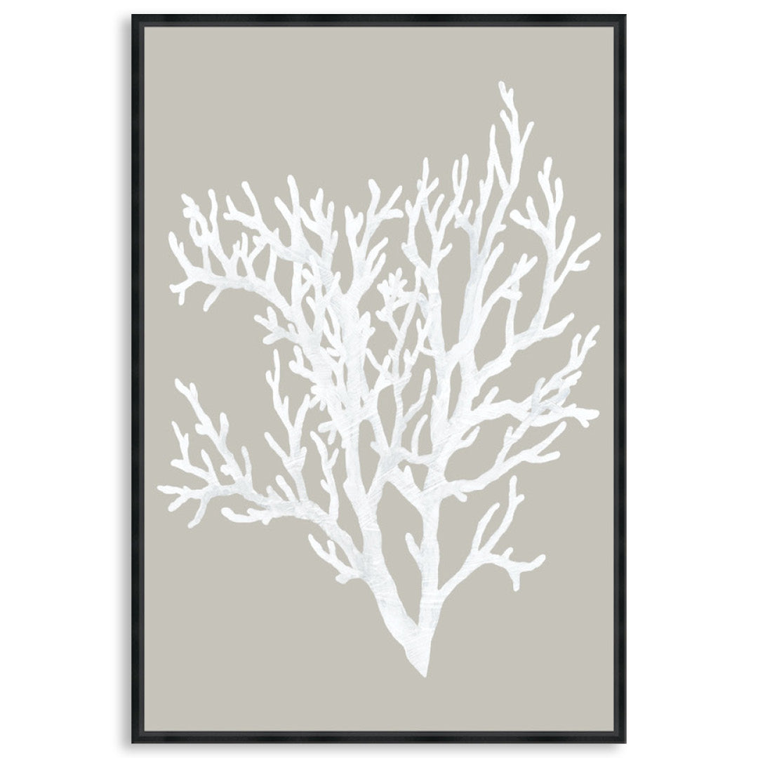 CORAL FOCUS II - Framed Canvas