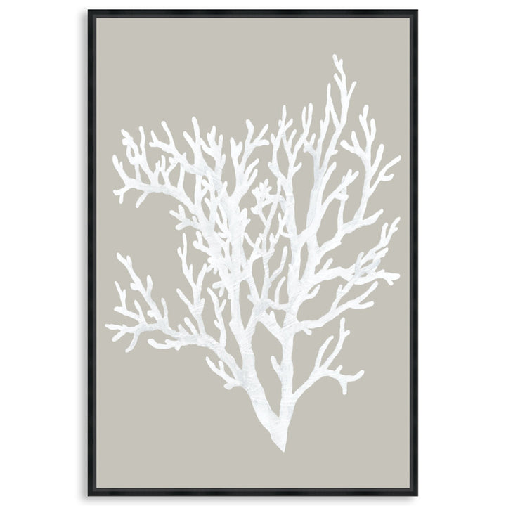 CORAL FOCUS II - Framed Canvas