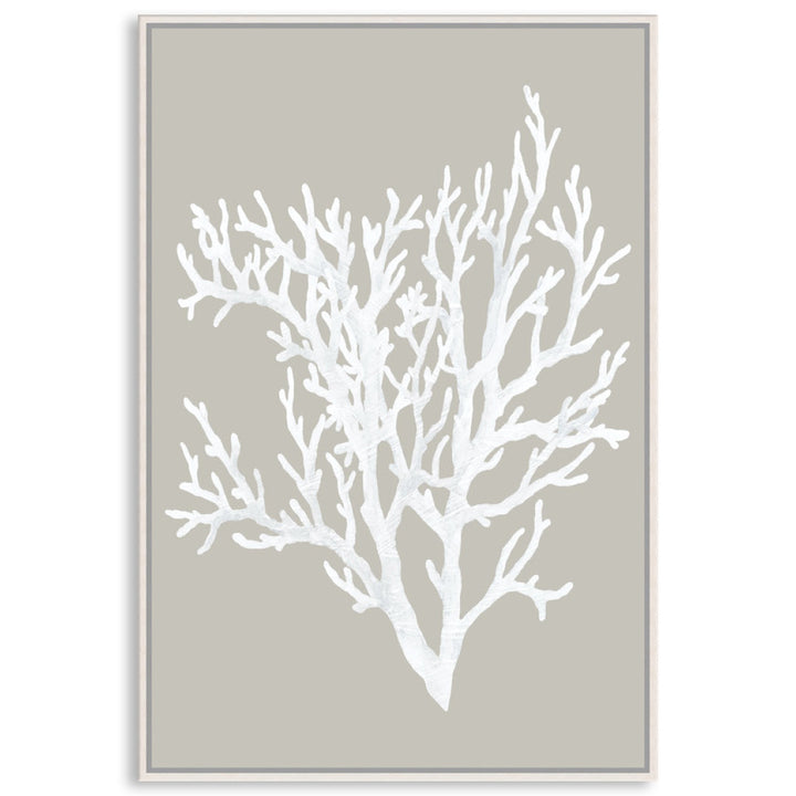CORAL FOCUS II - Framed Canvas