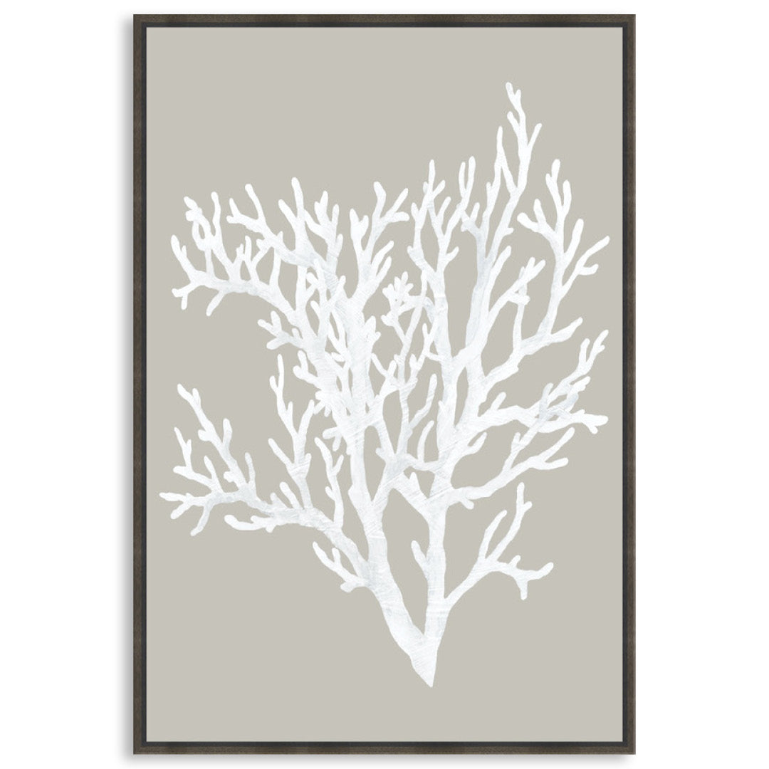 CORAL FOCUS II - Framed Canvas