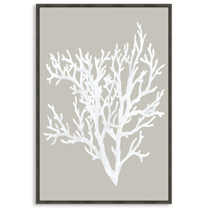 CORAL FOCUS II - Framed Canvas