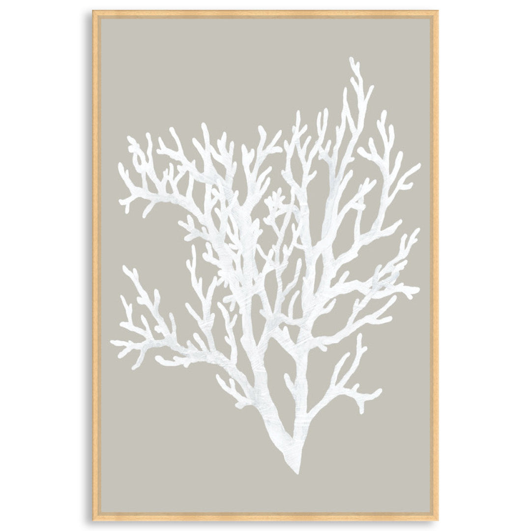 CORAL FOCUS II - Framed Canvas