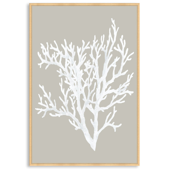 CORAL FOCUS II - Framed Canvas