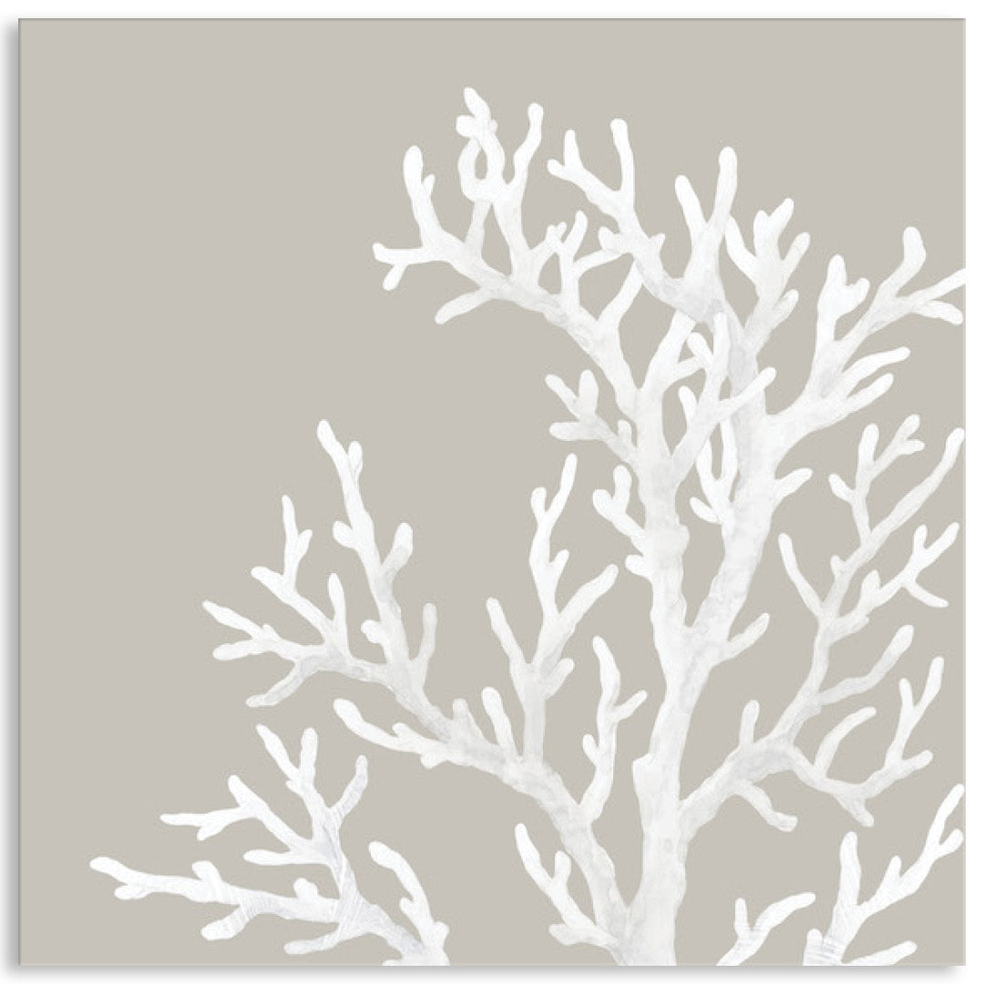 CORAL FOCUS IV - Canvas Print
