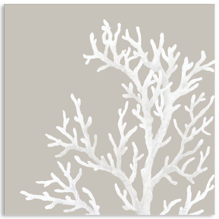 CORAL FOCUS IV - Canvas Print