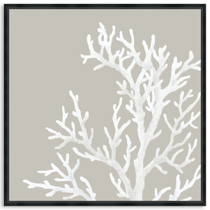 CORAL FOCUS IV - Framed Canvas