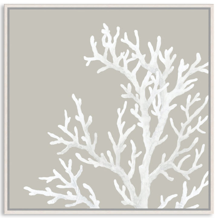 CORAL FOCUS IV - Framed Canvas