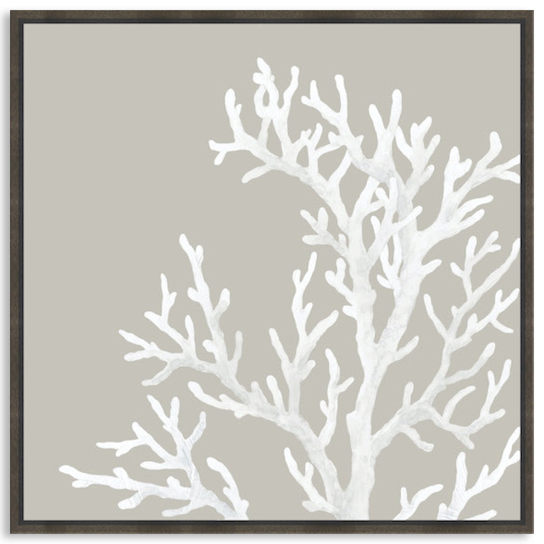 CORAL FOCUS IV - Framed Canvas