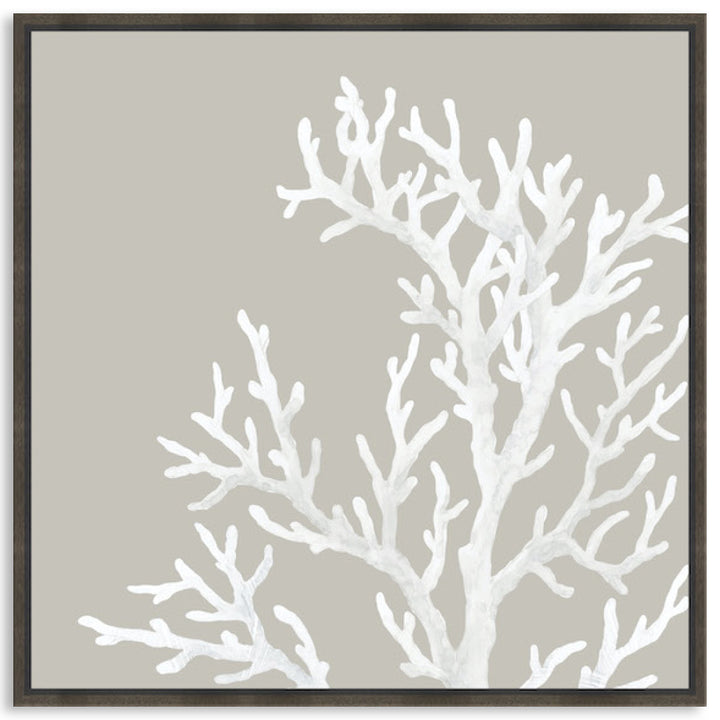 CORAL FOCUS IV - Framed Canvas