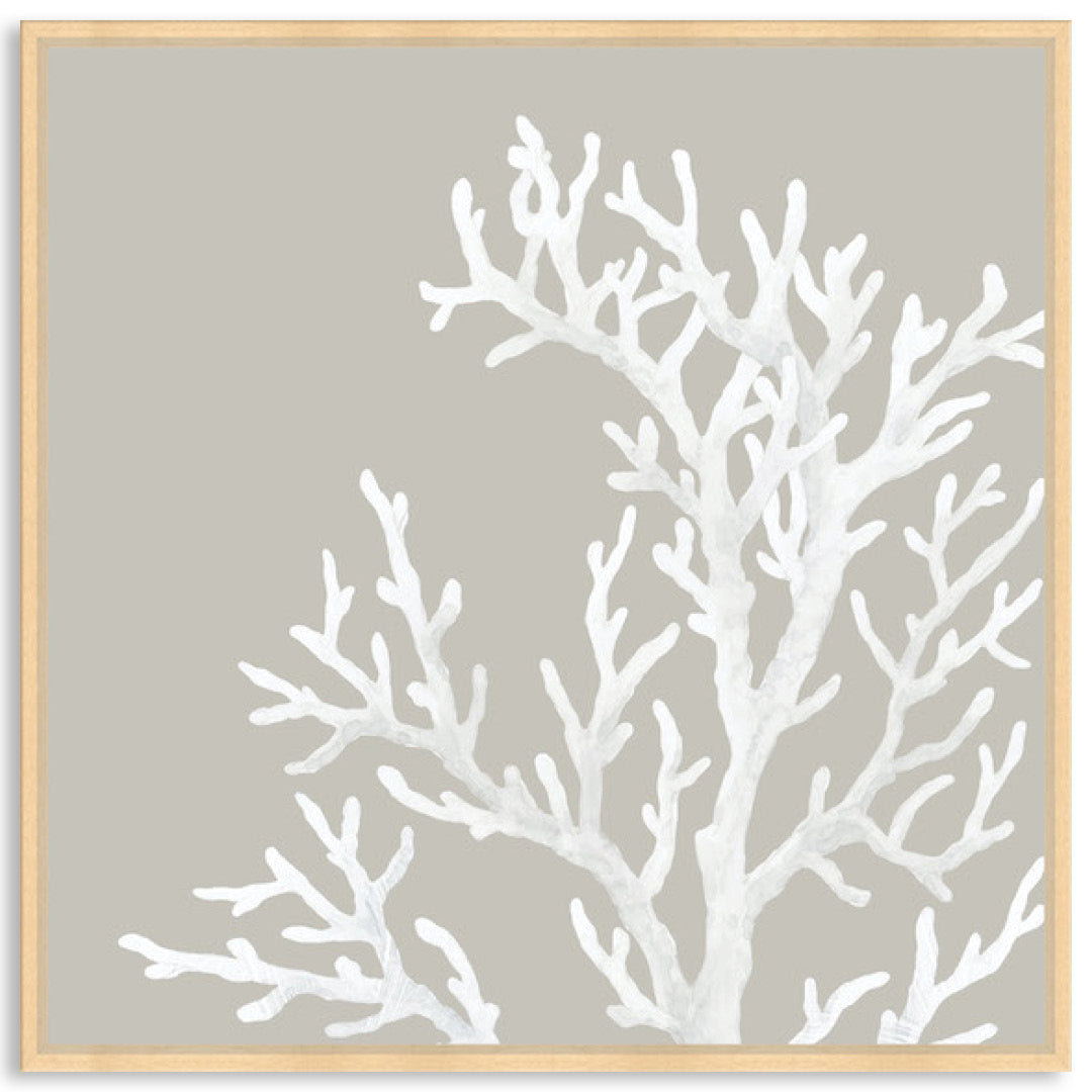 CORAL FOCUS IV - Framed Canvas