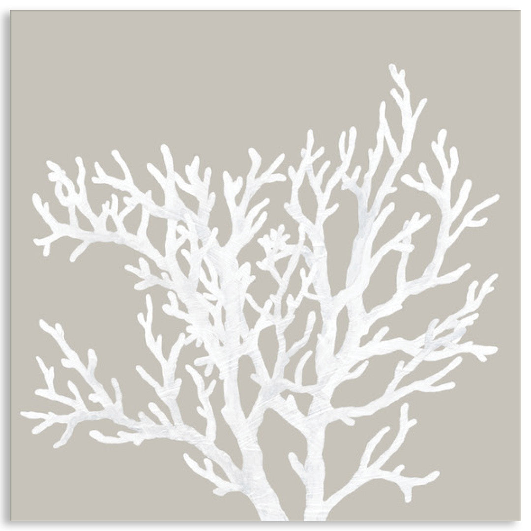 CORAL FOCUS V - Canvas Print