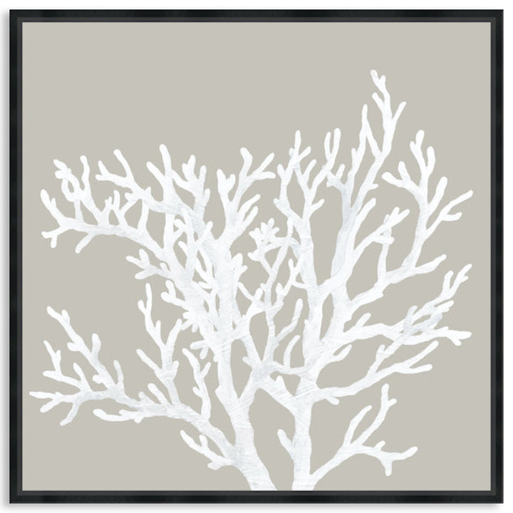 CORAL FOCUS V - Framed Canvas