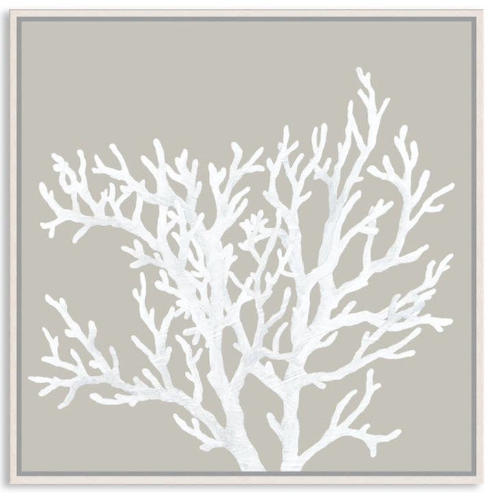 CORAL FOCUS V - Framed Canvas