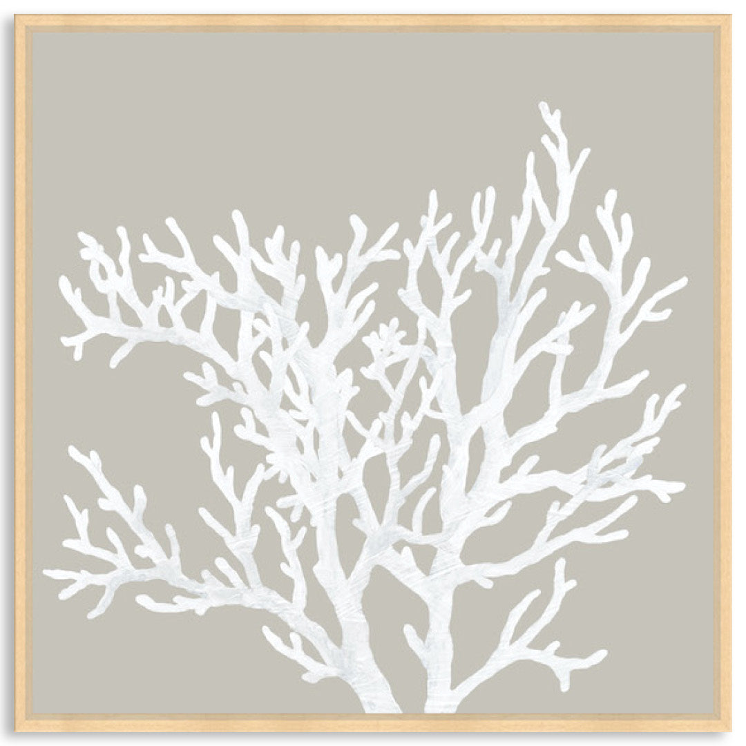 CORAL FOCUS V - Framed Canvas