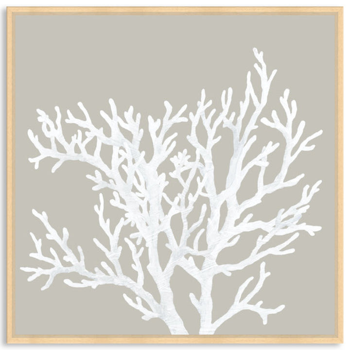 CORAL FOCUS V - Framed Canvas