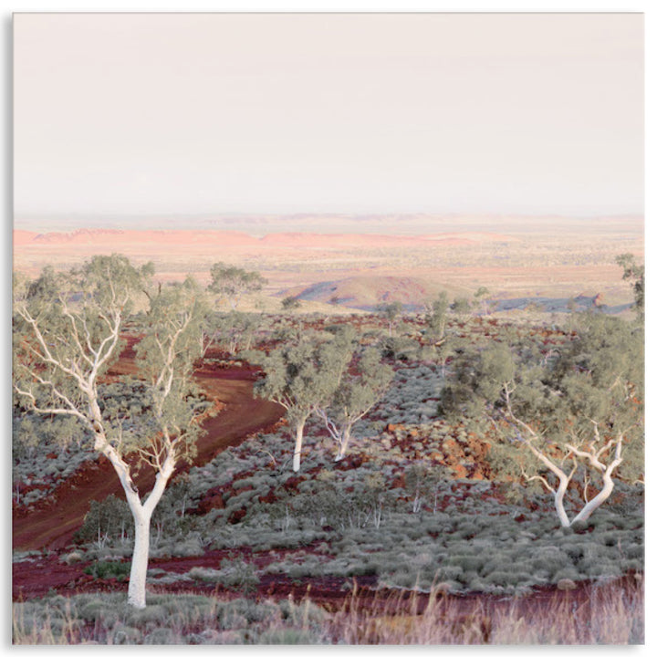 PILBARA SKIES II - Canvas Print