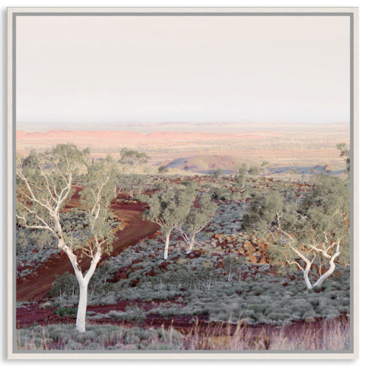 PILBARA SKIES II - Framed Canvas