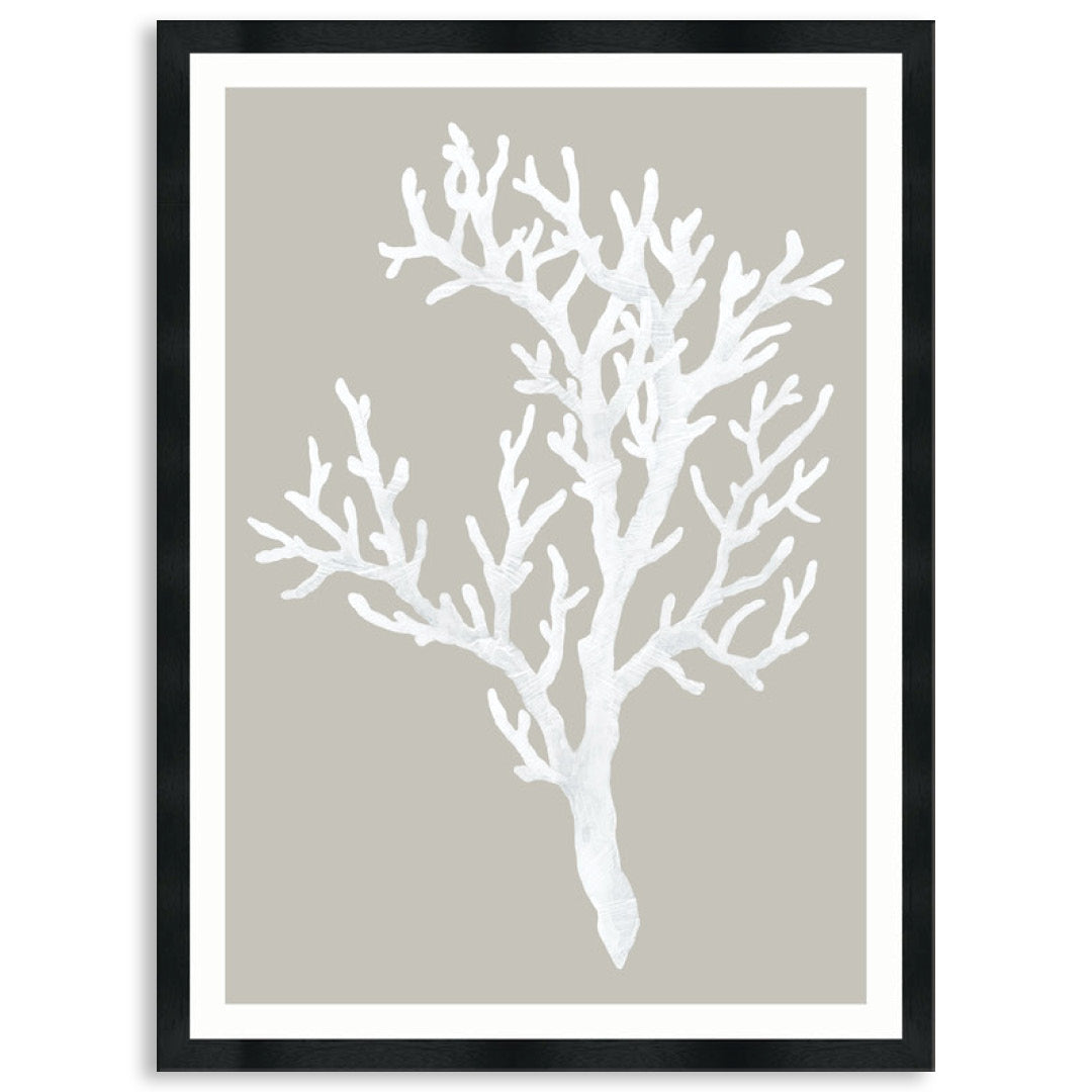 CORAL FOCUS I - Framed Print