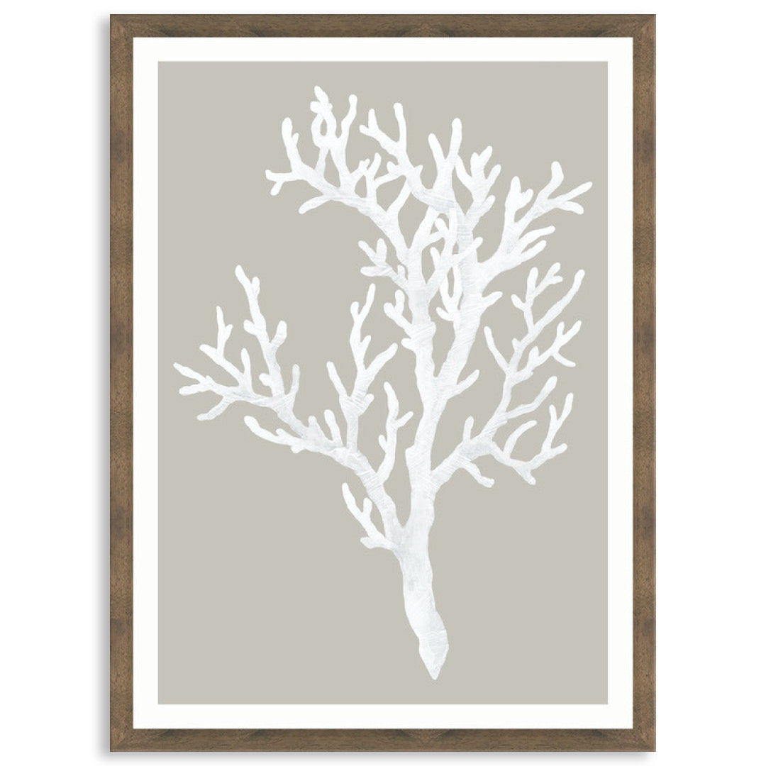 CORAL FOCUS I - Framed Print