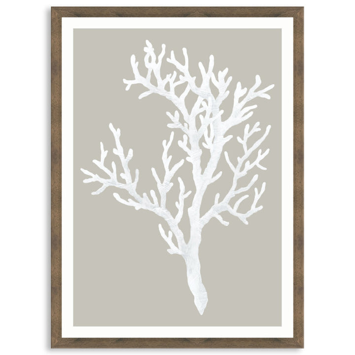 CORAL FOCUS I - Framed Print
