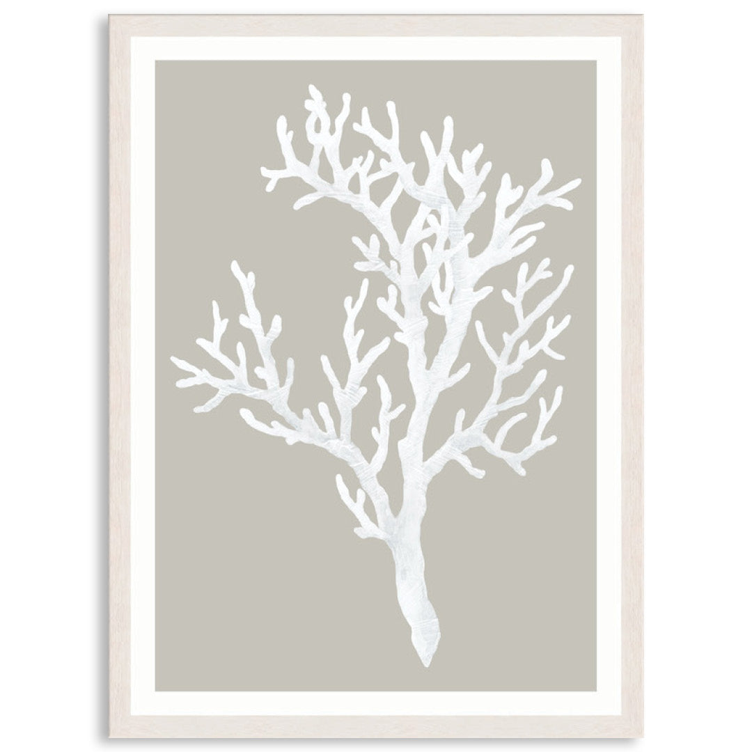 CORAL FOCUS I - Framed Print