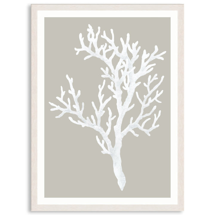 CORAL FOCUS I - Framed Print