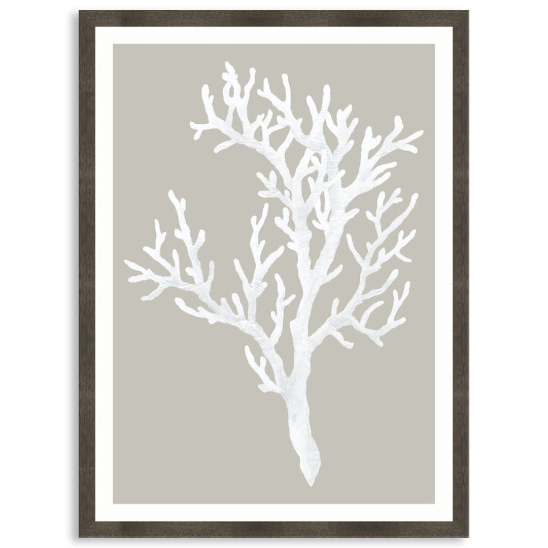 CORAL FOCUS I - Framed Print