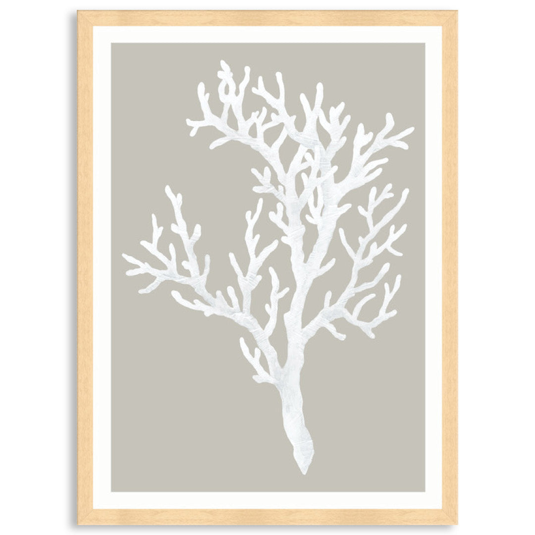 CORAL FOCUS I - Framed Print