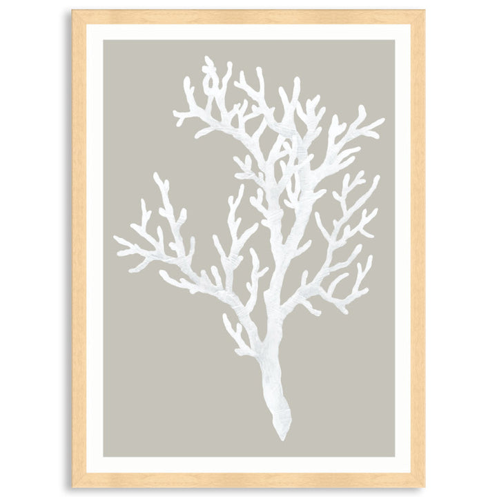 CORAL FOCUS I - Framed Print