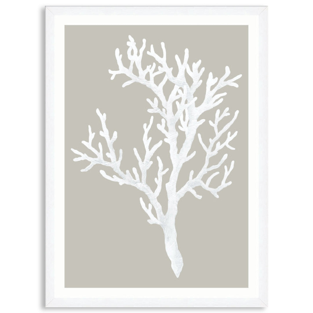 CORAL FOCUS I - Framed Print