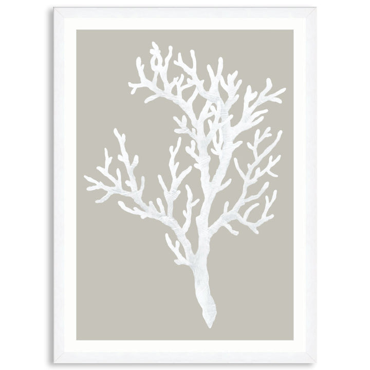 CORAL FOCUS I - Framed Print