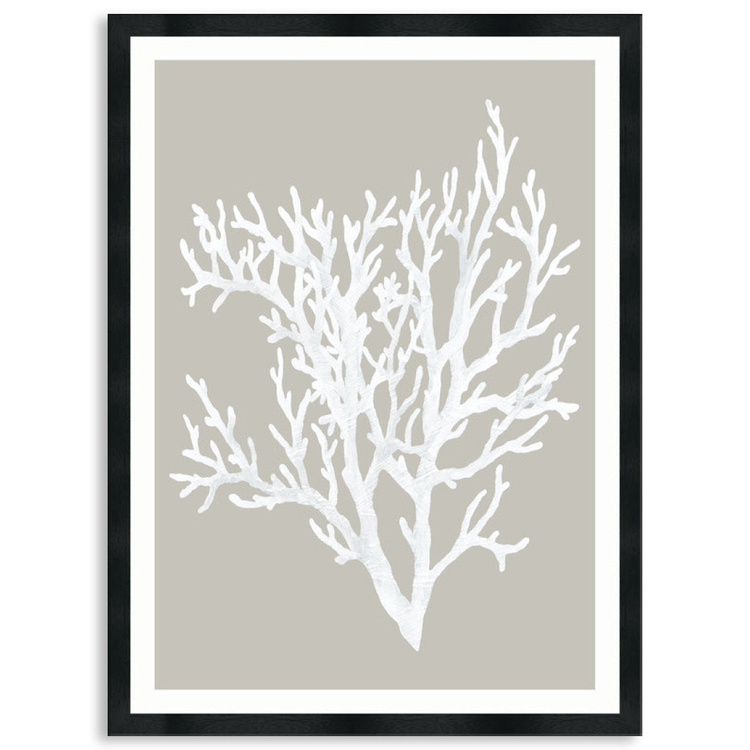 CORAL FOCUS II - Framed Print