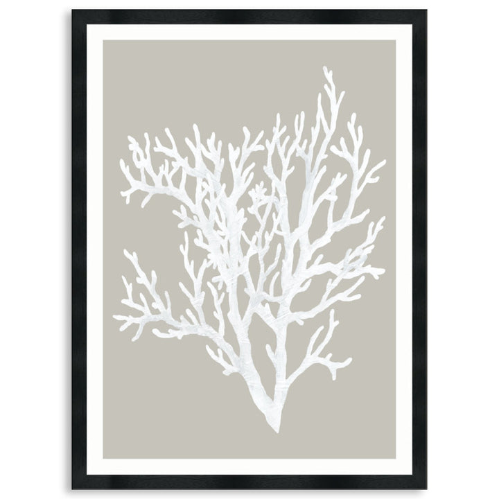 CORAL FOCUS II - Framed Print