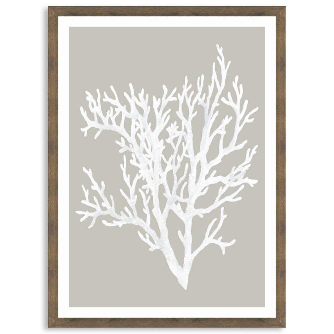CORAL FOCUS II - Framed Print