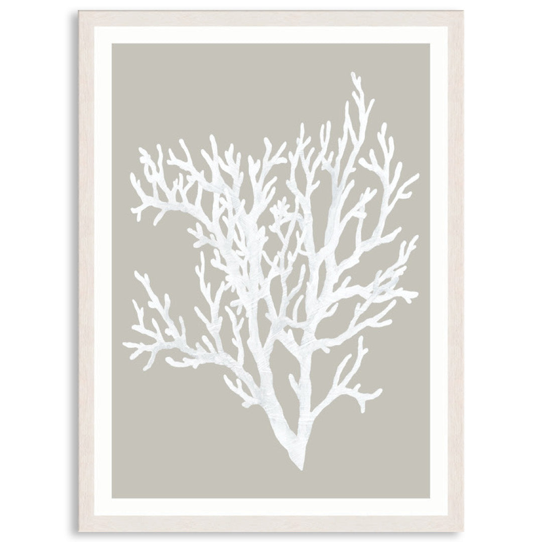 CORAL FOCUS II - Framed Print