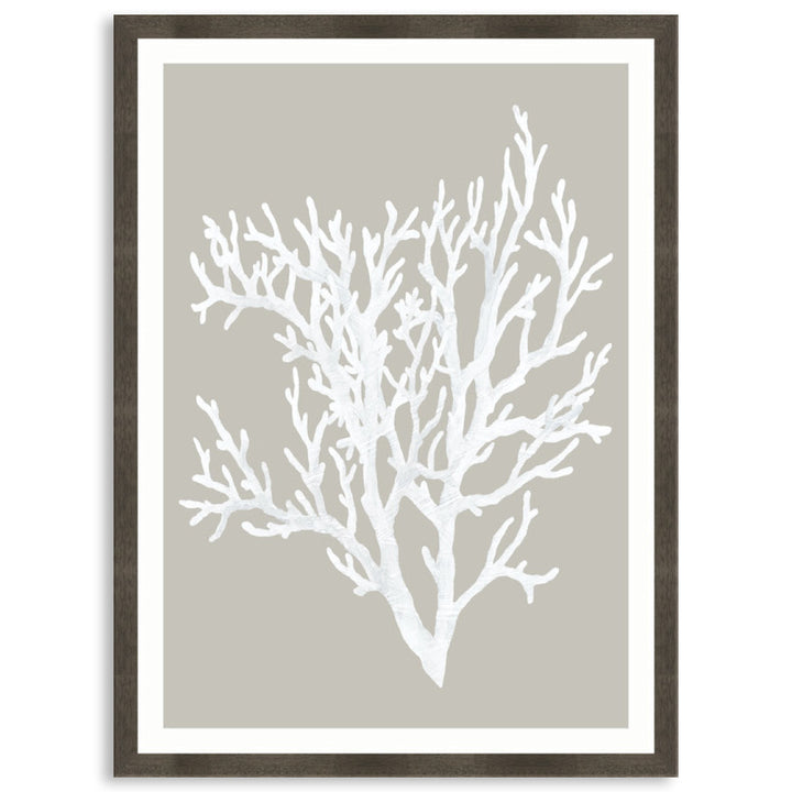 CORAL FOCUS II - Framed Print