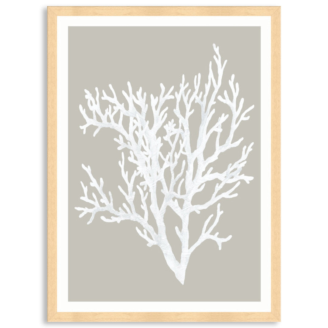 CORAL FOCUS II - Framed Print