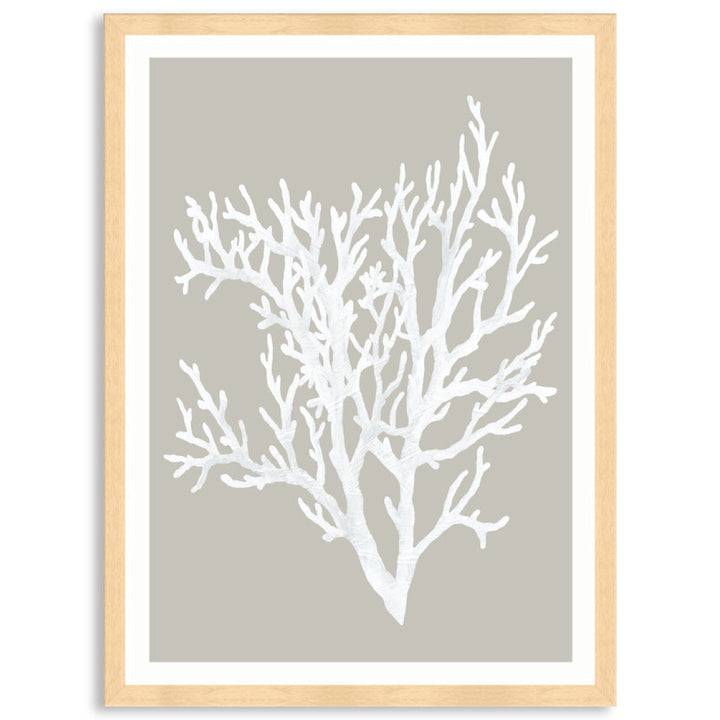 CORAL FOCUS II - Framed Print
