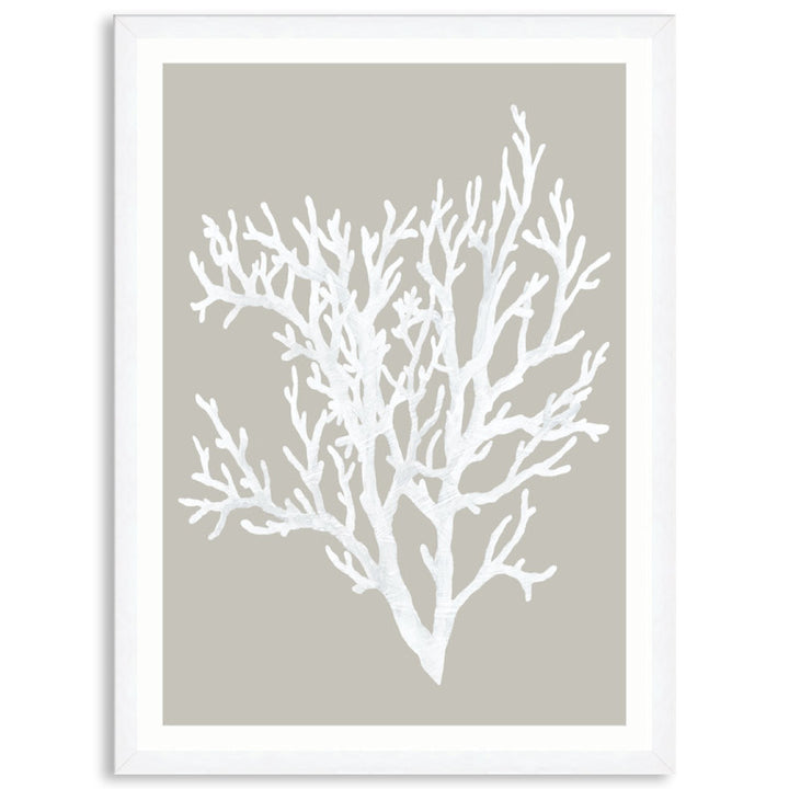 CORAL FOCUS II - Framed Print