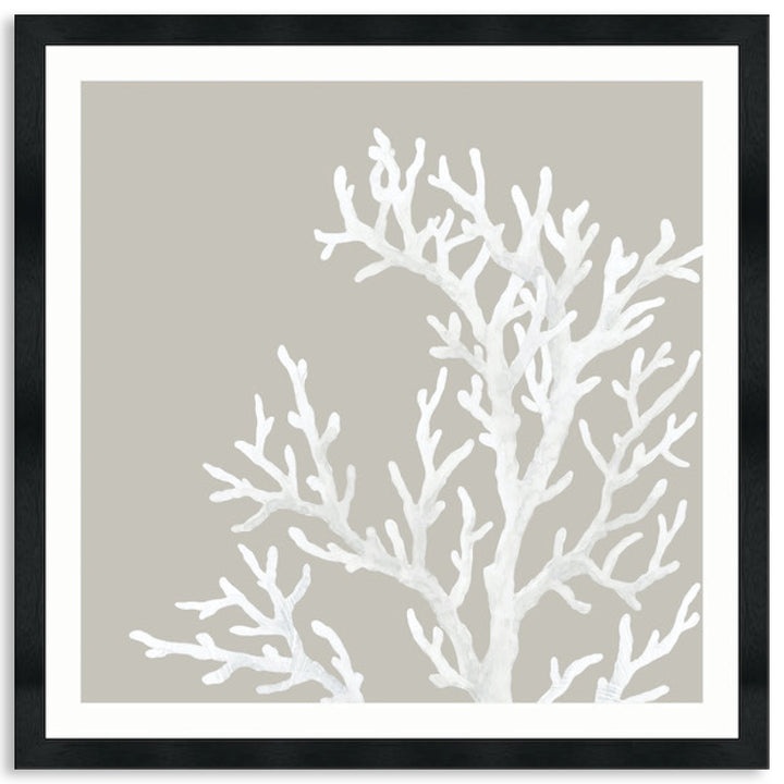 CORAL FOCUS IV - Framed Print