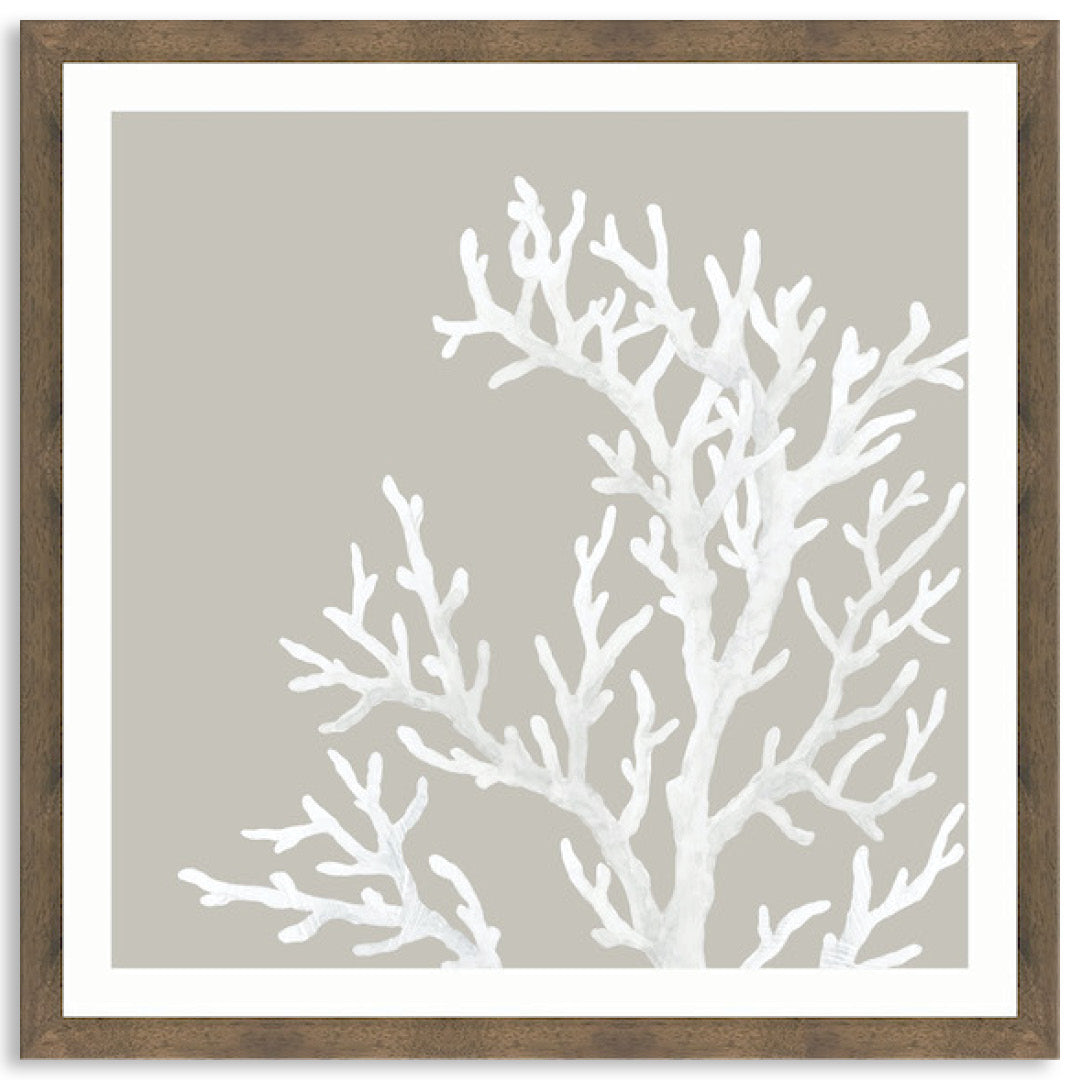 CORAL FOCUS IV - Framed Print