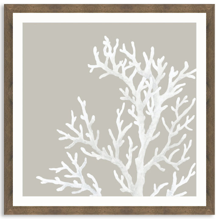 CORAL FOCUS IV - Framed Print