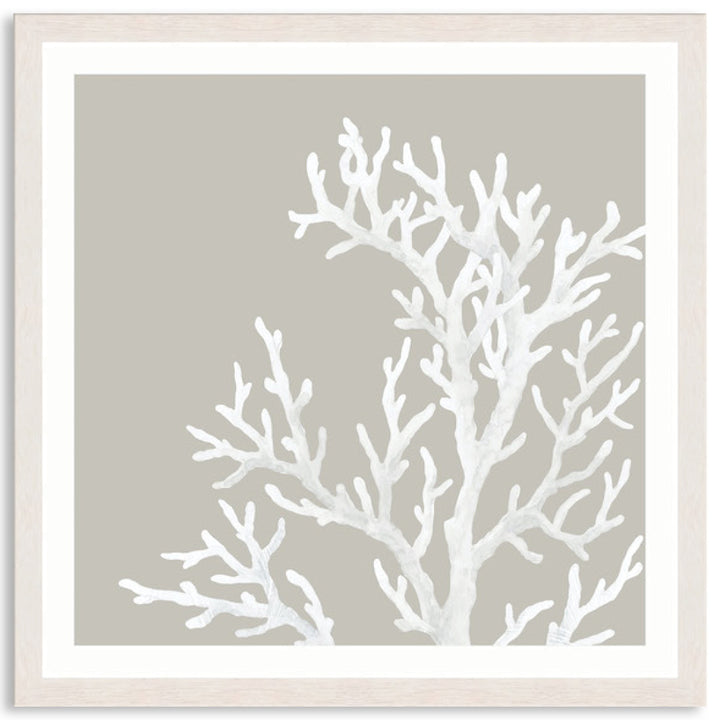 CORAL FOCUS IV - Framed Print