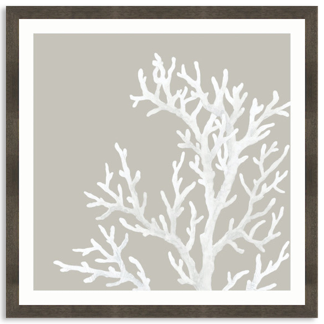CORAL FOCUS IV - Framed Print