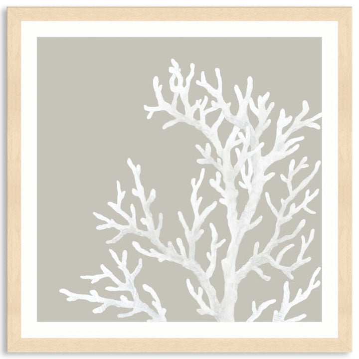 CORAL FOCUS IV - Framed Print