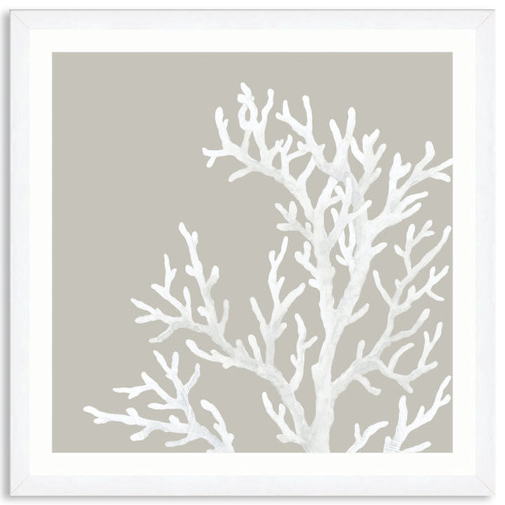 CORAL FOCUS IV - Framed Print